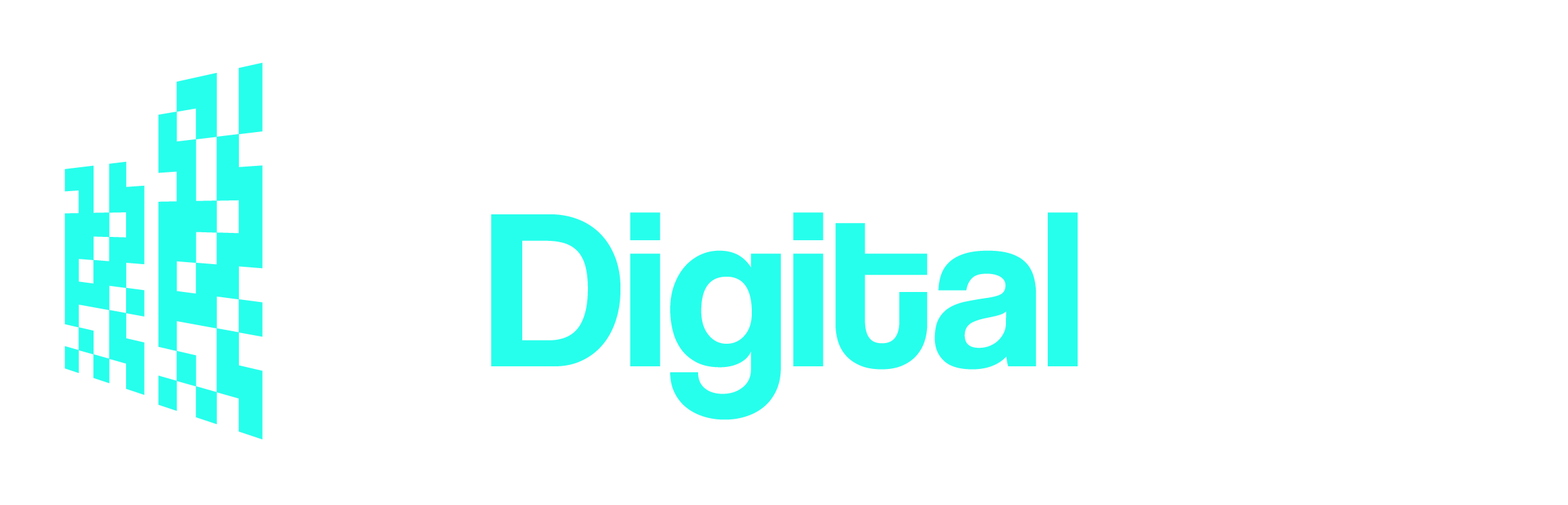 The Digital Build